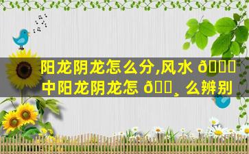 阳龙阴龙怎么分,风水 🐝 中阳龙阴龙怎 🌸 么辨别